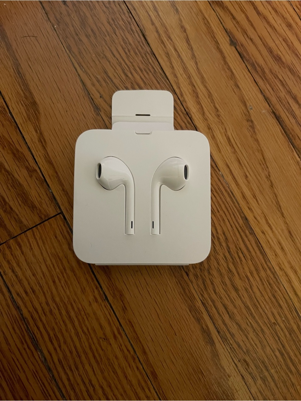 Apple wired headphones